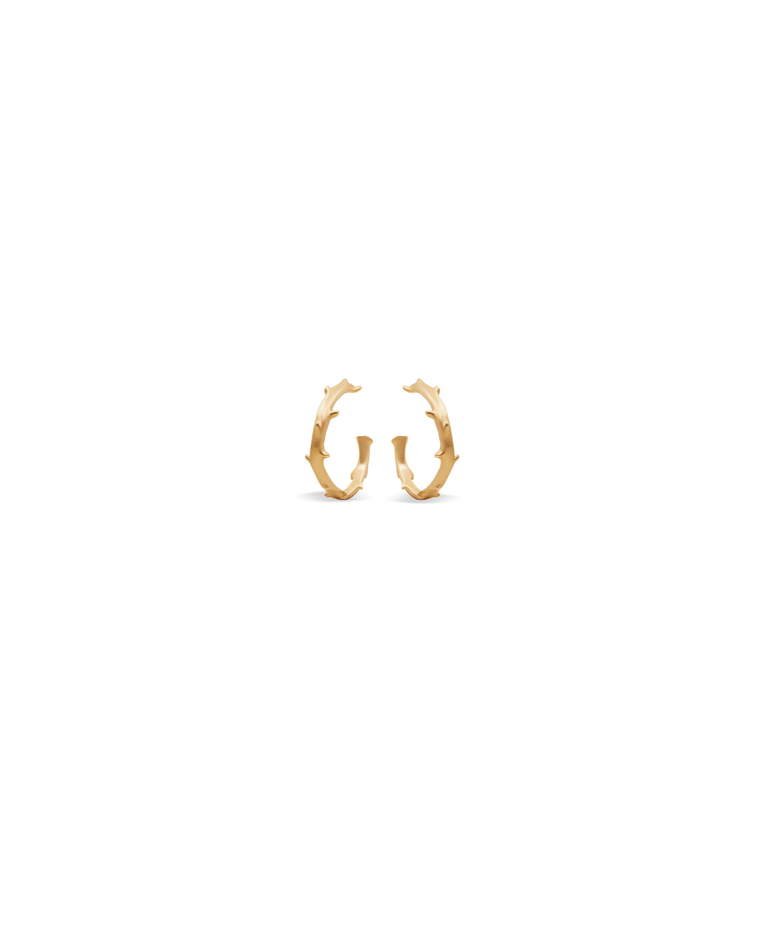 A pair of 14k gold hoop earrings with a thorned stem pattern, brushed finish, and secure backs.