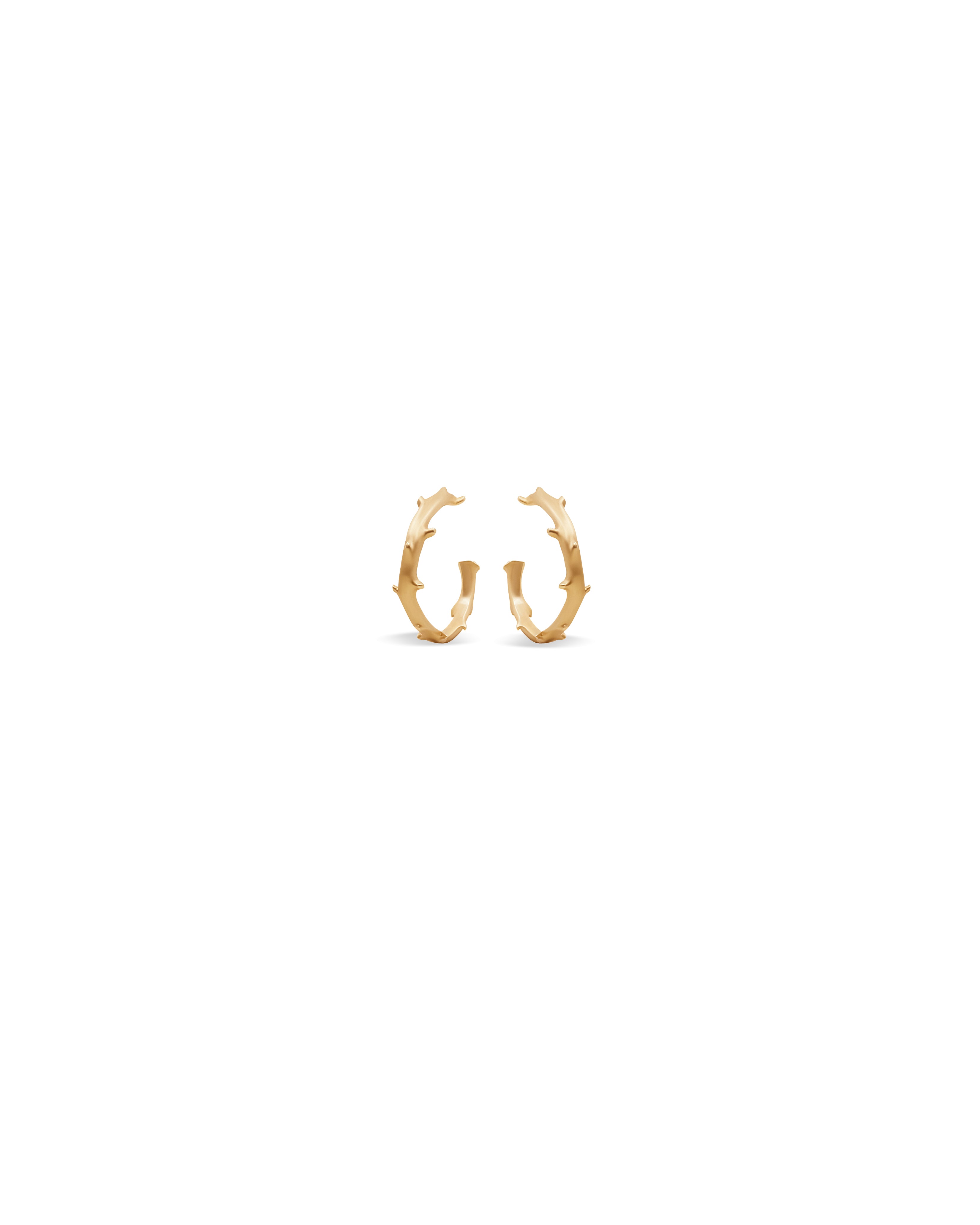 A pair of 14k gold hoop earrings with a thorned stem pattern, brushed finish, and secure backs.