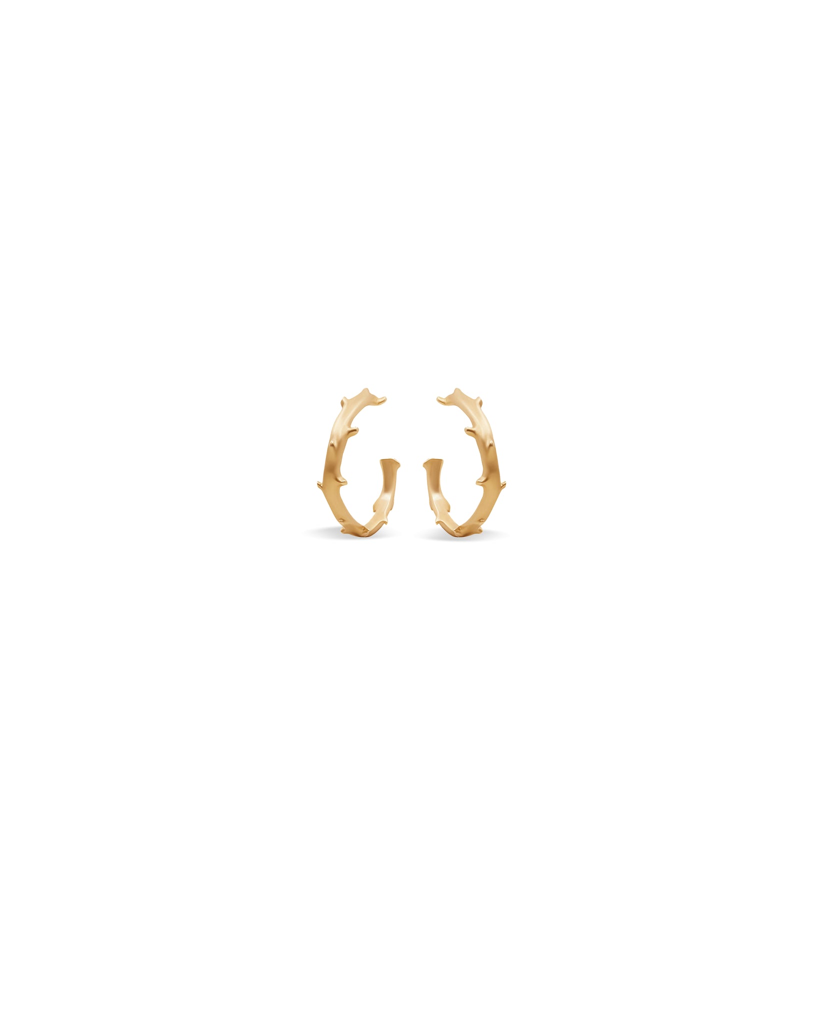 FLORA 14k Gold Spina Midi Earrings