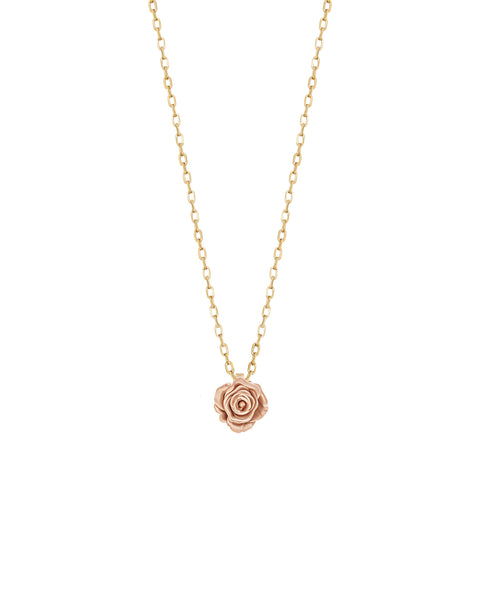 BJ-F-N-ORIG-ROSE-RG-4x5_grande