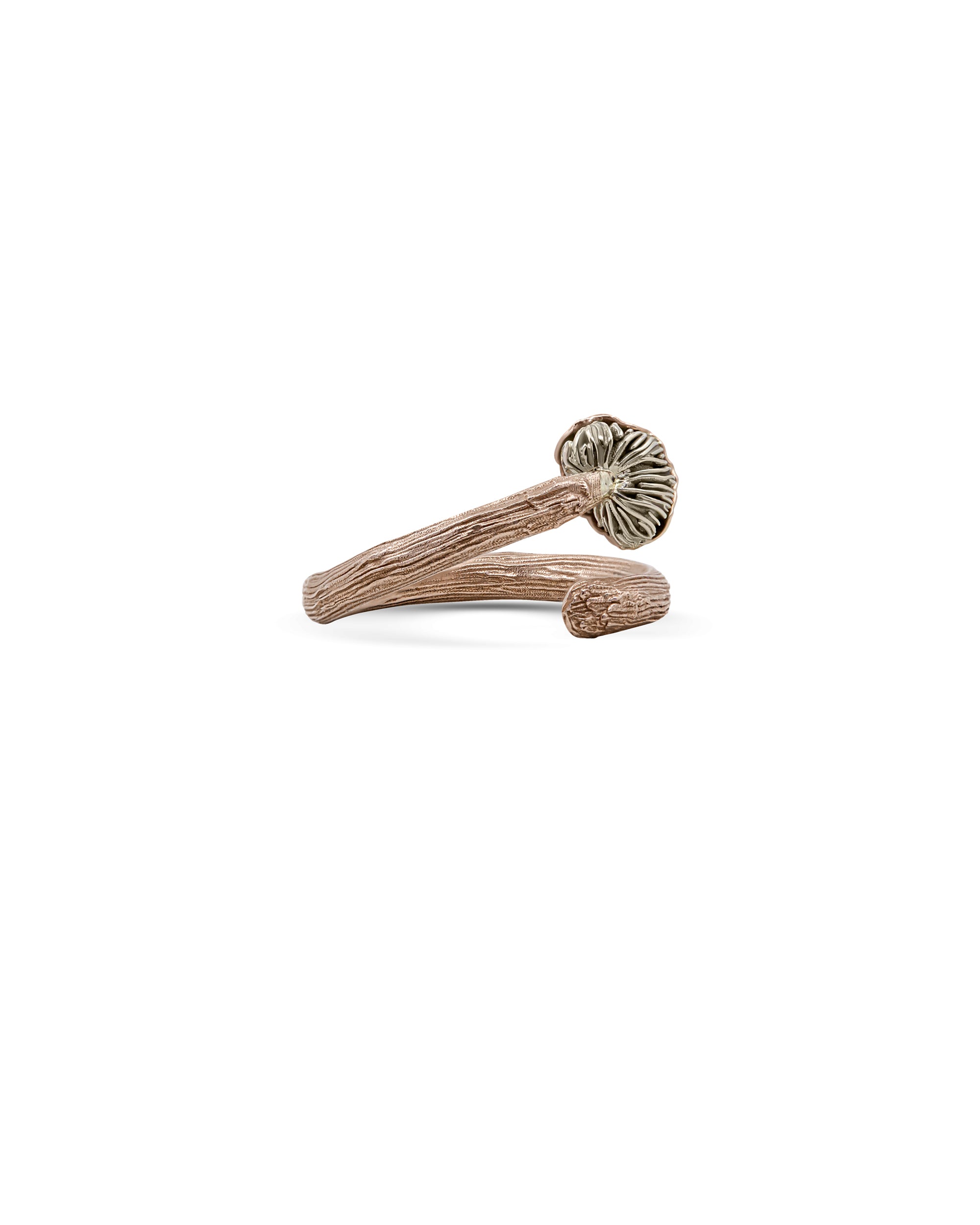 Laccaria Gold Ring