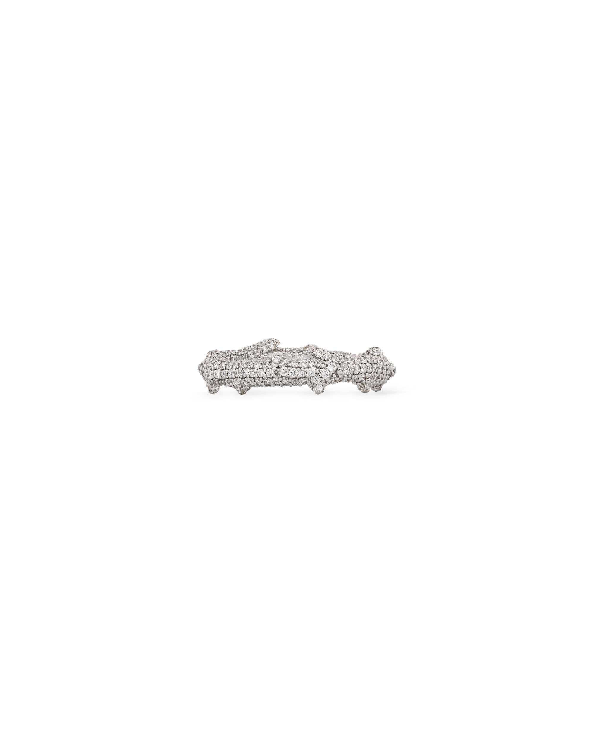 A close-up image of a white gold ring with a pave diamond design.