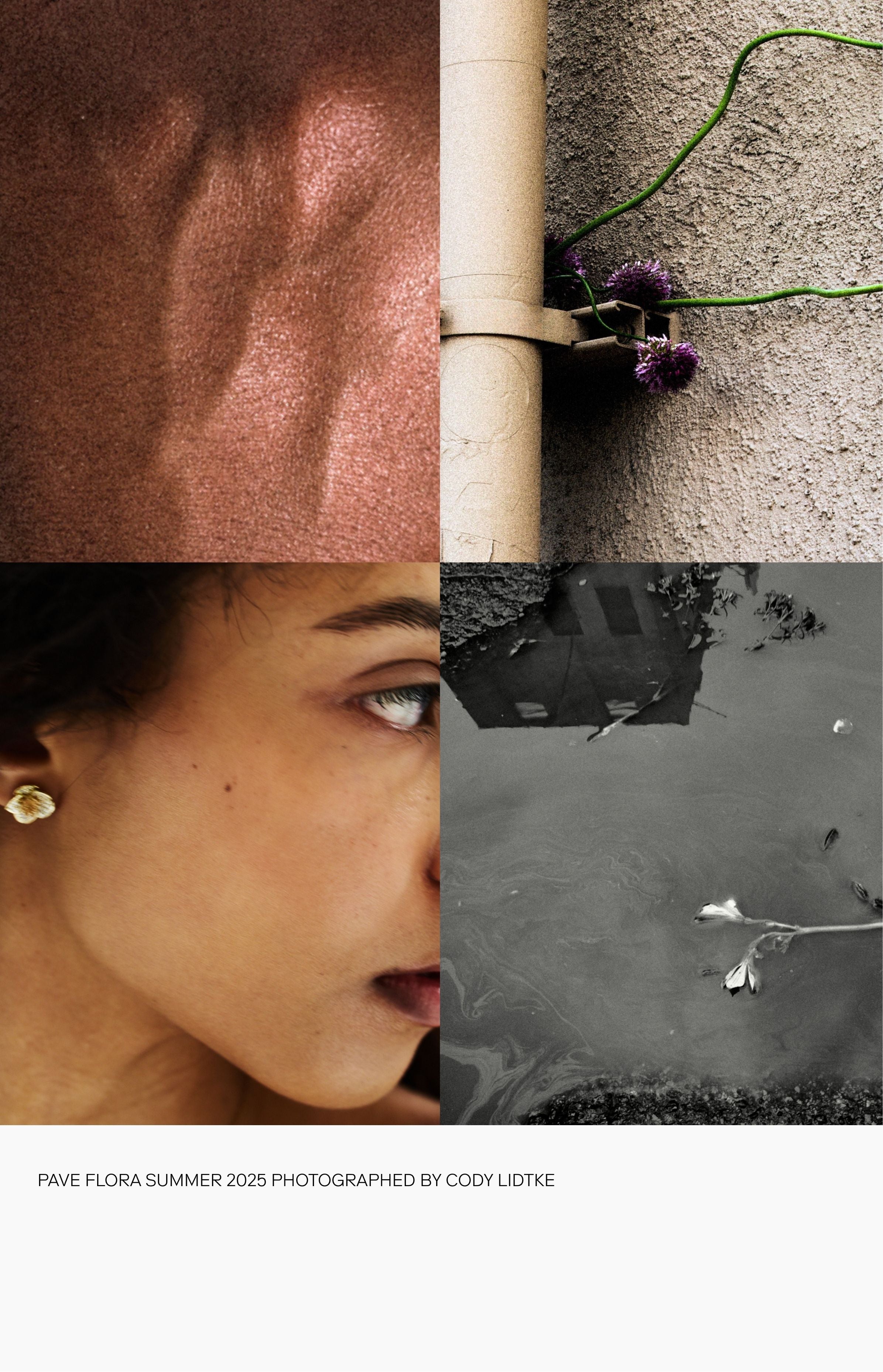Pave Flora: A Study In Color – Bernard James
